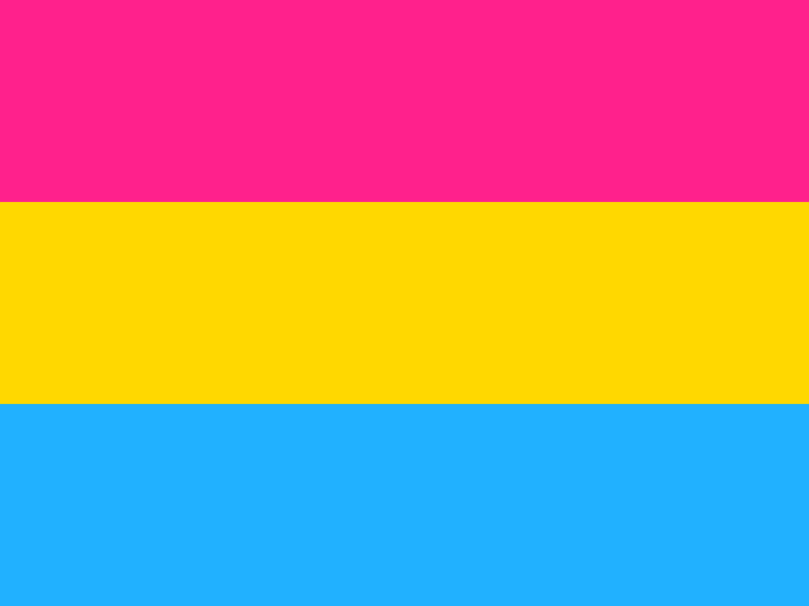 I am pansexual