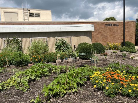  Community garden located in front of Webb Hall. Photo provided by Audra Gullquist.​​ 