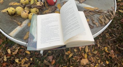 Fall is the perfect time to go outside and read a book. photo via Trinity Turner.