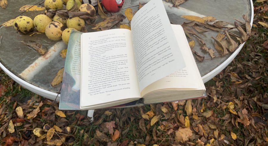 Fall+is+the+perfect+time+to+go+outside+and+read+a+book.+photo+via+Trinity+Turner.