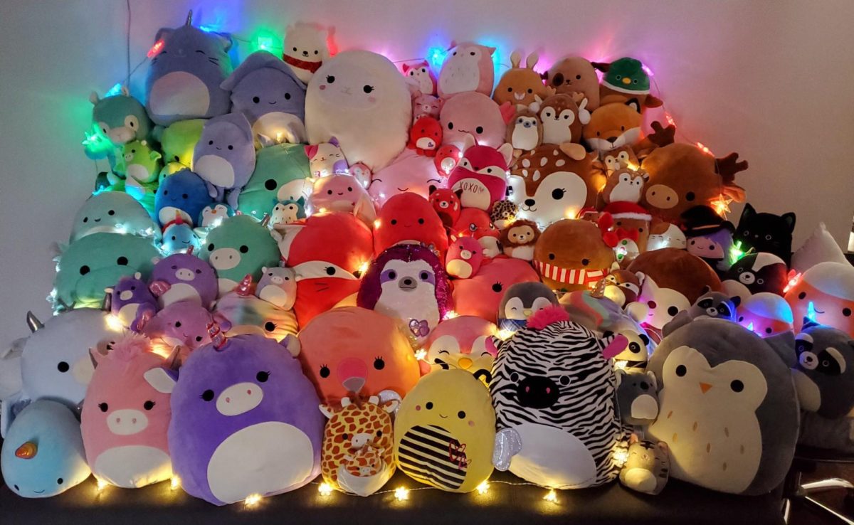 A fellow Squishmallow collectors colorful collection!