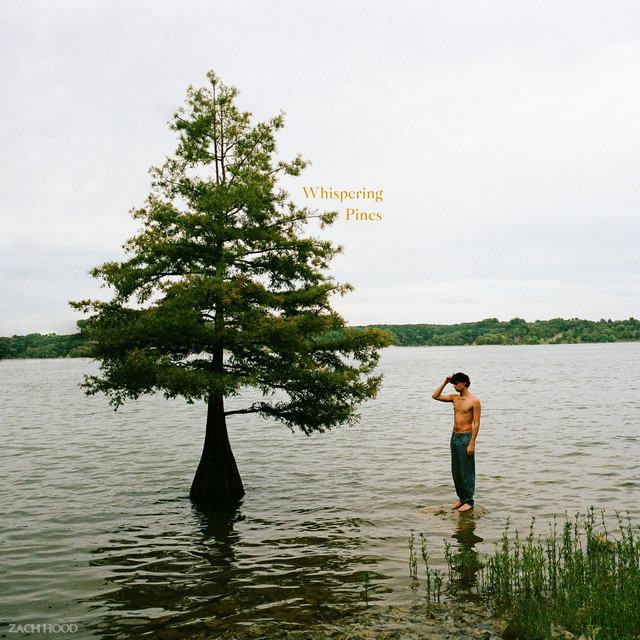 “Whispering Pines” serves as an outlet for Zach Hood to share his heart with his listeners