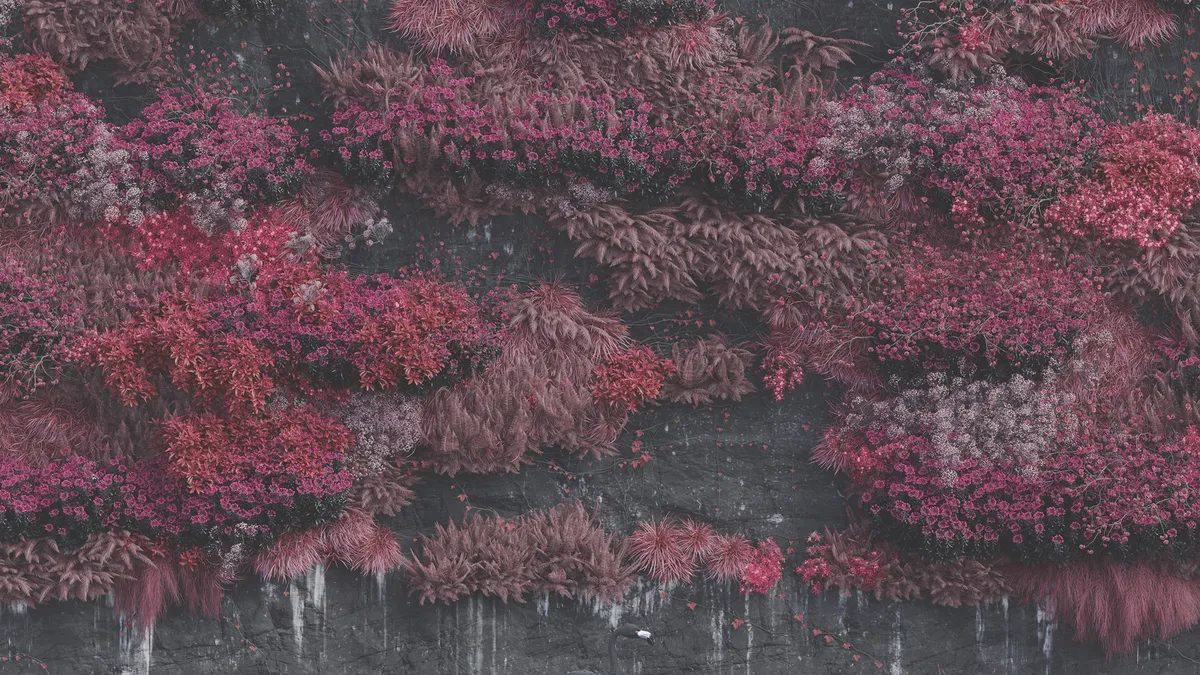 Even in Arcadia Album cover