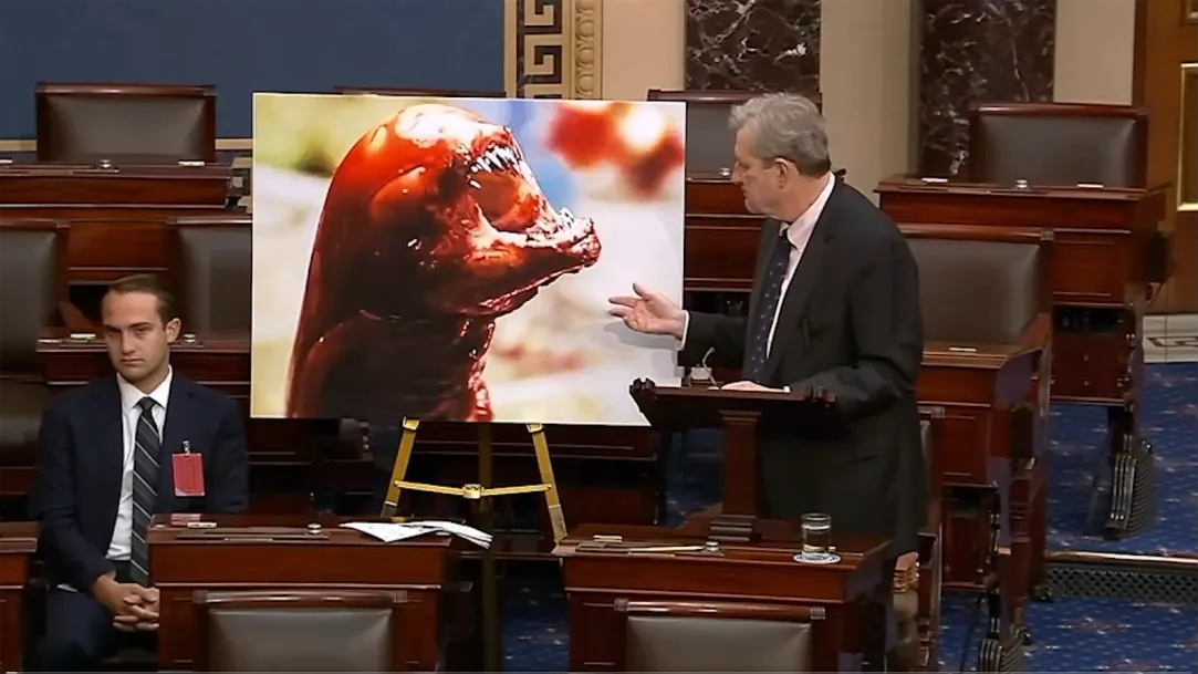 Senator John Kennedy (R-LA) warning Suggesting that the shrimp could turn a person into the chestbuster, an immature, worm-like infant form of the Xenomorph XX121, featured in the Alien film Series.